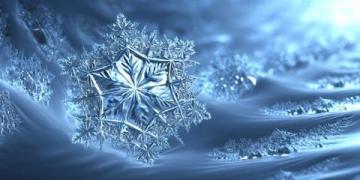 鲜为人知的冷知识：从日常生活到科学奥秘