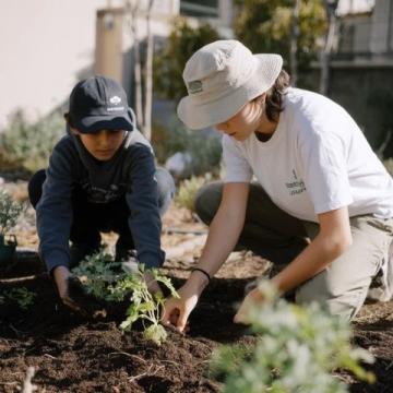 大庆兰德学校刘禹贝(大庆兰德学校学生植树)