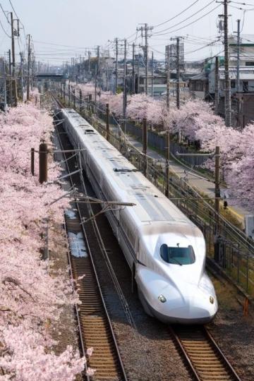500元环游东日本!JR东日本平日旅行优惠票限时发售