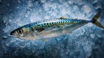 食用须知:这种河鲜鱼籽含剧毒,煮熟也无法消除危险