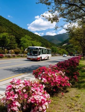 深圳坪山沙田到惠阳的公交车(由深圳坪山沙田地铁站开往惠阳天虹的M425路公交车)