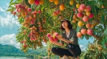 上海大宁公园:夏日甜蜜水果与宁静美景