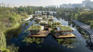佛山绿岛湖游玩指南:探索城市绿肺与生态秘境