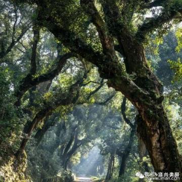 珠海江门台山两日游路线指南:狂飙之旅,探索自然与人文的魅力