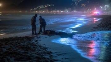 夜晚的汕头:华侨公园海滨长廊灯火璀璨,人流不息