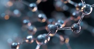 糖分转化碳链，为生命提供能量源泉