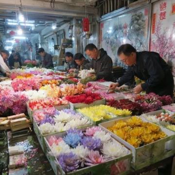 图广西小镇街天实录:热闹市集、地道美食,感受淳朴的民俗风情与生活韵味