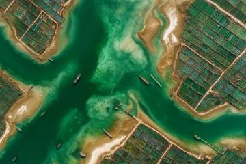 山东威海荣成:海带包子的极致鲜美之旅