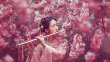 武汉赏樱攻略:告别日本,体验荆楚文化盛宴的粉色花海之旅!
