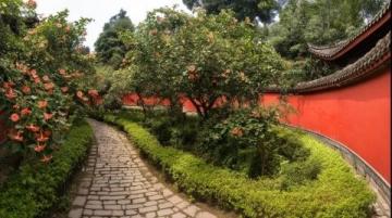 潮汕3天2夜深度游攻略:普宁市超值之旅