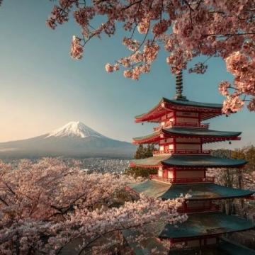 14日游日本篇·第三天