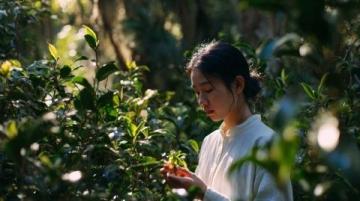 春天野菜怎么吃？教你简单又营养的荠菜炒鸡蛋做法