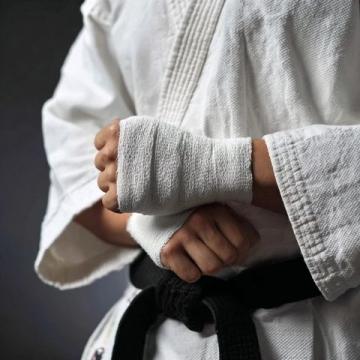 千岁国际实业集团举办MMA专业技能培训