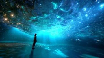 北龙湖湿地公园夜晚游玩攻略(北龙湖湿地公园深度游玩攻略(2025最新版))