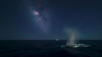 平凡中的星辰大海：记录2025年的非凡生活故事