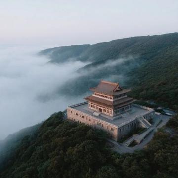 昆明久香楼:探寻云南野生菌的美味传奇