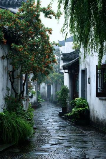 雨水中的浪漫采风:重游拱宸桥西文化街的摄影日志
