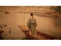 外国友人体验赛龙舟苏州河上的文化纽带与激情碰撞：中外友好在龙舟上热烈相聚。