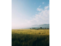 阳春市大草原美景如画，不容错过