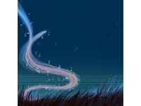 情与爱：人生乐章中的和谐音符——情感指导专家的深度解读