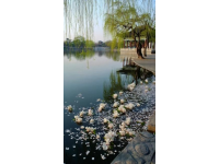 杭州攻略5天4晚费用(杭州5天4夜1500元预算攻略)