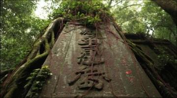 陈龙居士考察鹤山横江后山风水:探讨钟氏家族墓穴选址问题