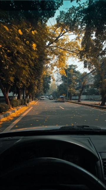 详解各国道路车道划分与行驶规则必看！