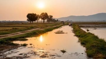 西双版纳深度游全攻略:秘境美景、美食地图与当地玩法揭秘