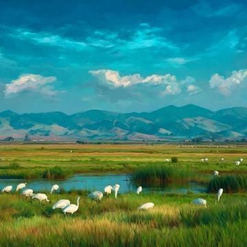 探险昆明超美湿地公园，回归古代的滇王国！