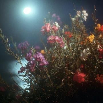 那年花开月正圆中,因为剧组的道具饭实在太好吃