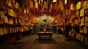 河南驻马店北泉寺:千年古刹探秘之旅