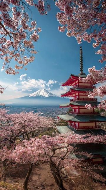 2025日本旅行攻略解锁新玩法与经典体验