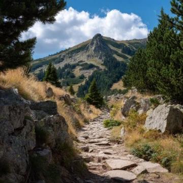 初尝登山乐趣:探秘后山线路之旅
