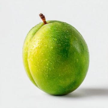 缅怀外婆:那颗最后逝去的青梅