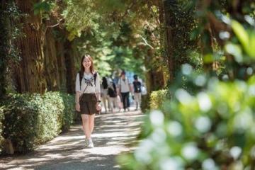 厦门春游攻略：赏花、文化探索与潮流体验，一网打尽！