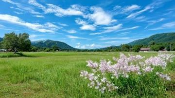 土地性质划分(土地性质常识)