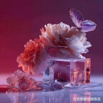 快收下超全的南通春日赏花指南