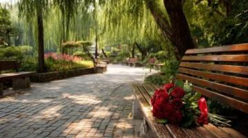 潍坊高密南湖植物园——城市绿洲的诗意栖居**
