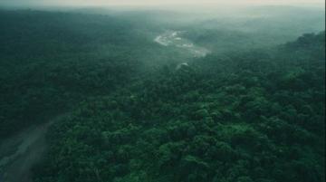 西双版纳旅游攻略:热带雨林与傣族文化的完美结合