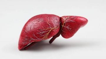 科学应对脂肪肝:揭秘极端素食背后的健康误区与合理膳食策略