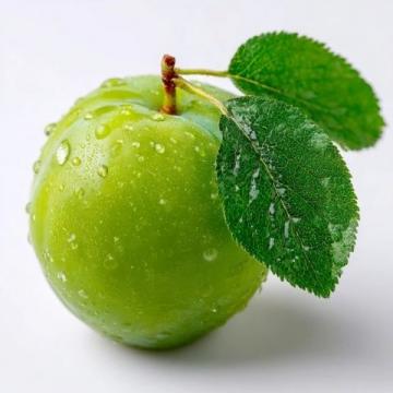 缅怀外婆:那颗最后逝去的青梅