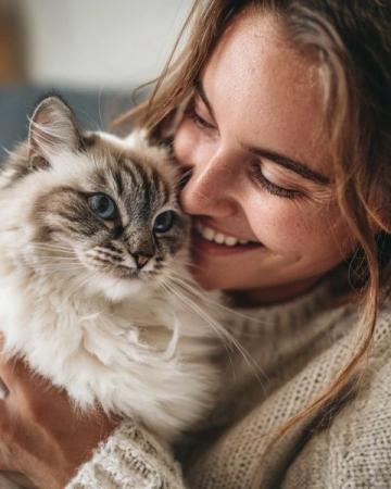 新手养猫必看:确保猫咪健康成长的经验分享
