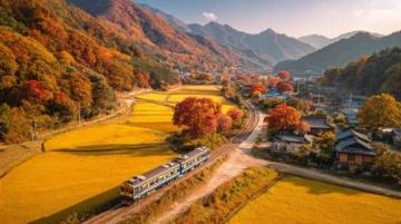 缙云县旅游攻略:自然美景与文化体验指南