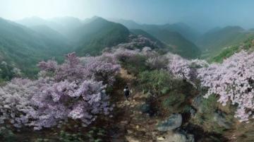 探寻扬州春季登山地：龙山与捺山的风光之旅