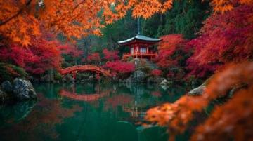 日本京都枫叶之旅第三天(上)