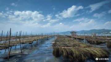 云端之蓝：泸沽湖畔的旅行回忆