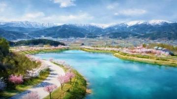南京桥下长白岛桃林春日盛景
