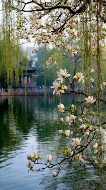 北京周末遛娃好去处推荐:创意乐园与户外探险之旅