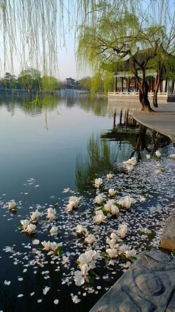 惠州之游即兴诗:四月西湖如画,古塔见证岁月#惠州旅游# #诗歌欣赏#