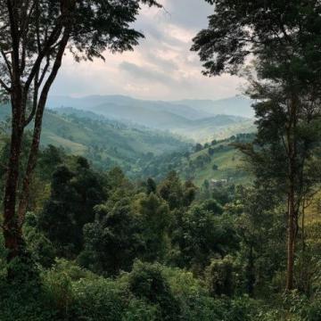 探索西双版纳:完美旅行指南及必游景点推荐